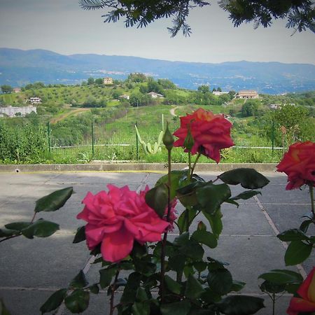 La dimora di Radha B&B Centro Olistico Rende Esterno foto