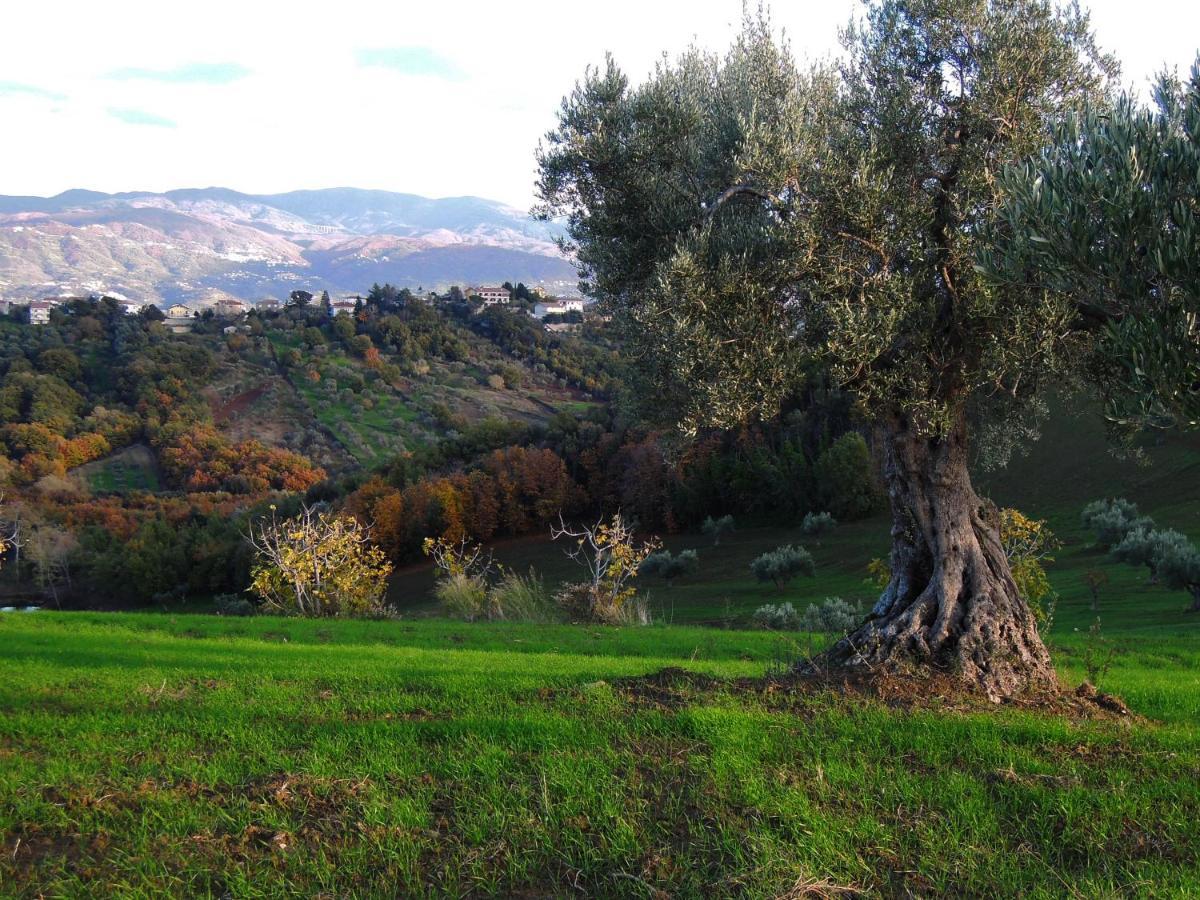 La dimora di Radha B&B Centro Olistico Rende Esterno foto